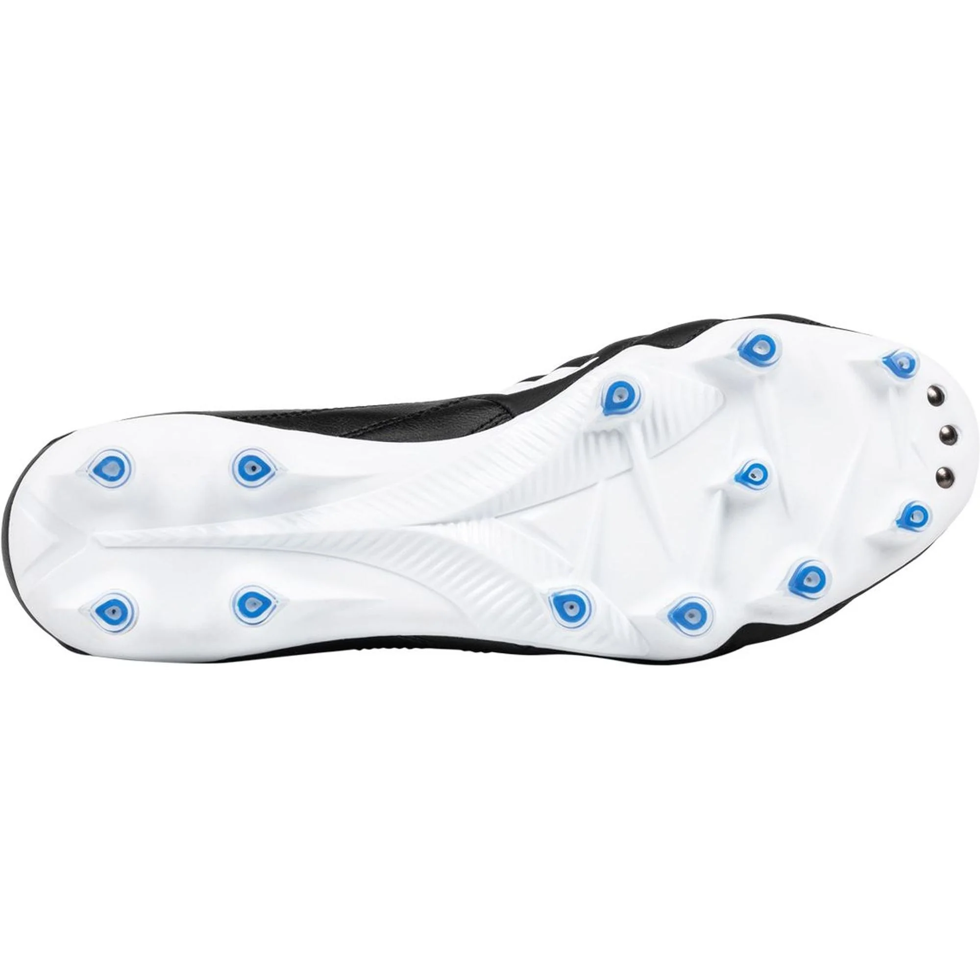 Brasil Elite 2 LT LP12 - Image 4